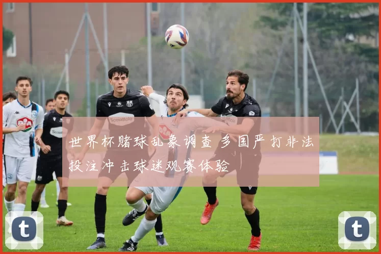 世界杯赌球乱象调查 多国严打非法投注冲击球迷观赛体验