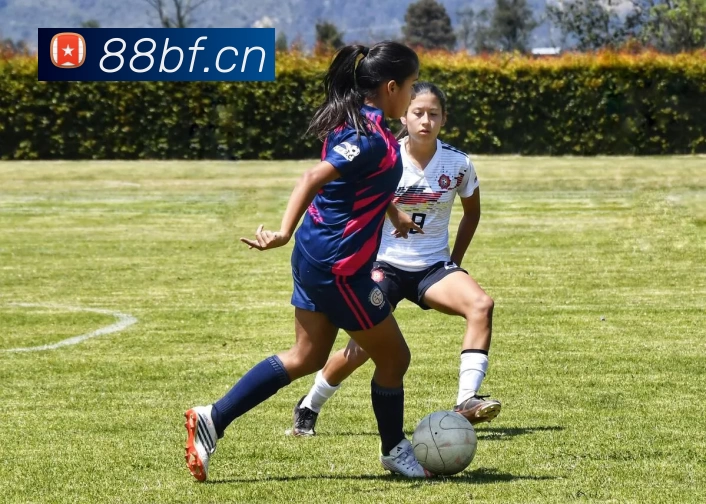 App Interface Preview